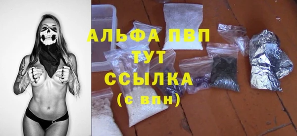 молекула духа Вяземский