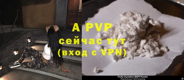 гашик Вязьма