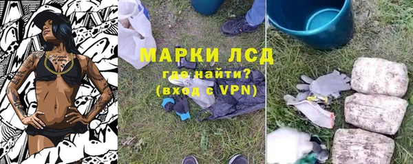 гашик Вязьма