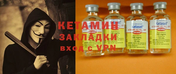 молекула духа Вяземский