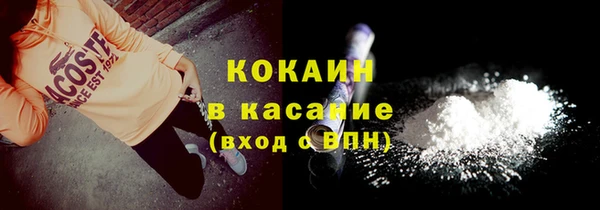 молекула духа Вяземский