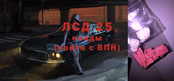 гашик Вязьма