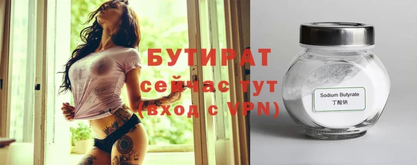молекула духа Вяземский