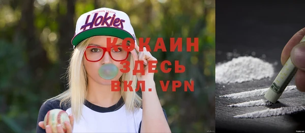 гашик Вязьма