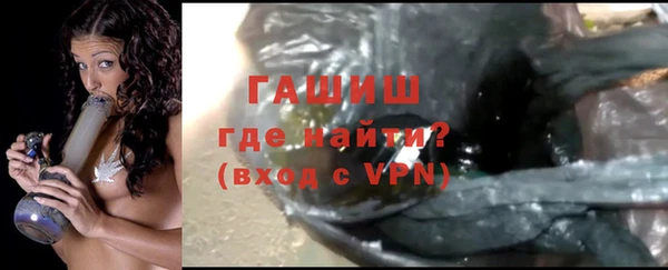 молекула духа Вяземский