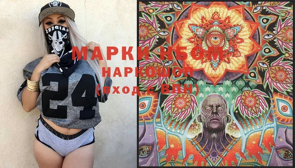 молекула духа Вяземский