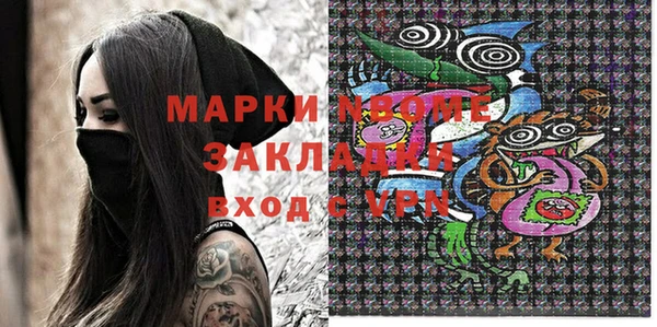 молекула духа Вяземский