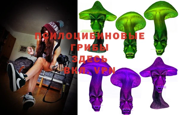 молекула духа Вяземский