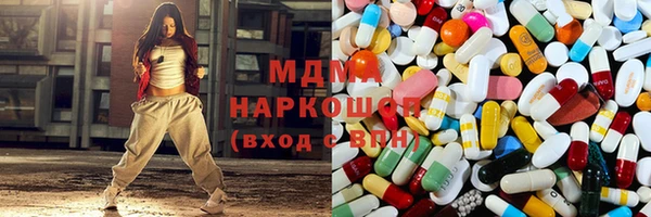 молекула духа Вяземский