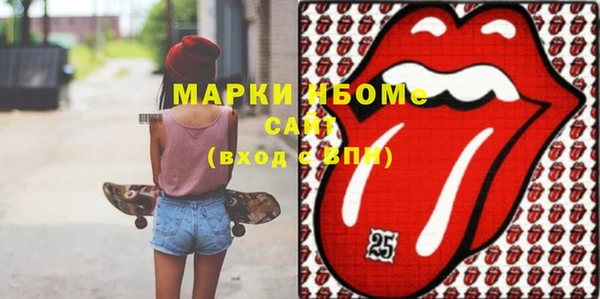 молекула духа Вяземский