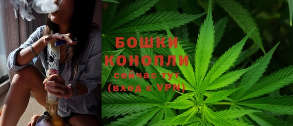 молекула духа Вяземский