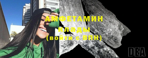 молекула духа Вяземский