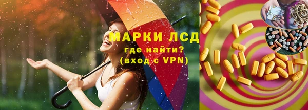 гашик Вязьма