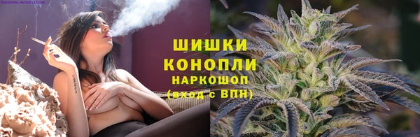 гашик Вязьма