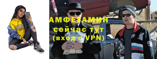 молекула духа Вяземский
