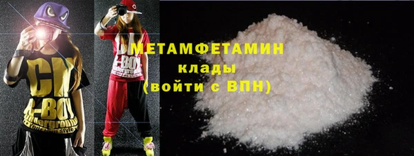 молекула духа Вяземский