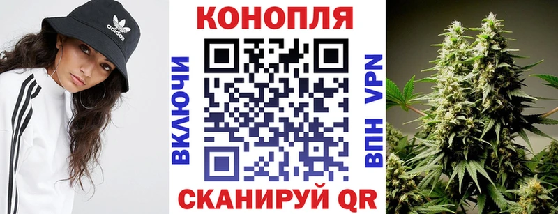 купить наркотик  Нахабино  kraken как зайти  Конопля SATIVA & INDICA 